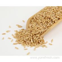 Oat Rice